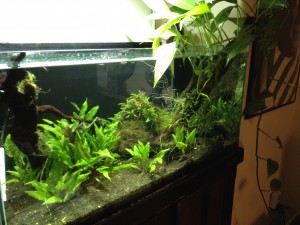 これより、香港へ出張です。